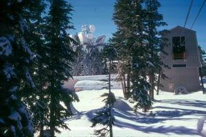 Picture provided by Billy Swatzell 12/22/2021